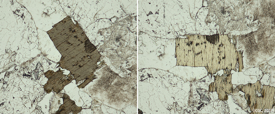 A l’esquerra, cristall de biotita de color marró fosc (d’aproximadament 1 mm) envoltat de cristalls de quars i feldespat incolors. A la dreta, el mateix cristall de biotita de la imatge anterior rotat uns 45º, amb un color més clar.