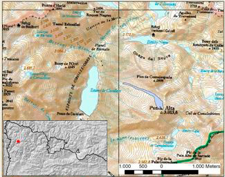 Situación general de la zona del alud. Alta Ribagorça (Pirineo occidental de Cataluña).