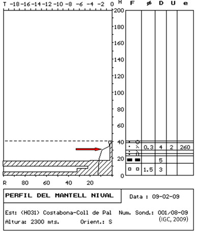 Figura 1. Perfil estratigráfico realitzado en la misma zona del accidente. 