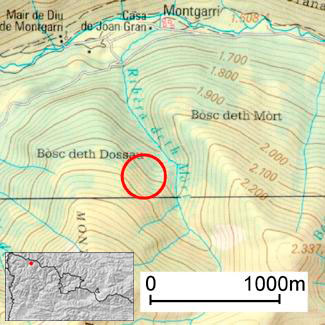 El cercle indica la zona on es va desencadenar l'allau. Val d'Aran (Pirineu occidental de Catalunya)