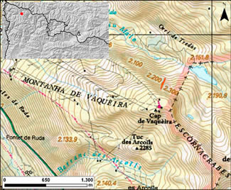 Ladera N del Cap de Vaquèira. Val d'Aran (Pirineo Occidental de Cataluña)