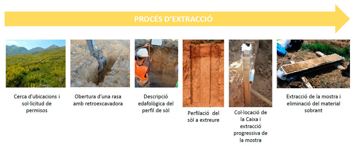 Esquema del procés d’extracció d’una mostra de sòl.