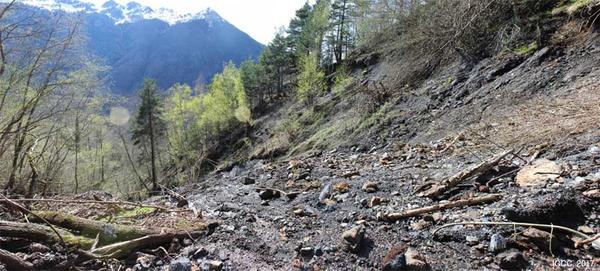 Cicatriz del flujo de derrubios sucedido el 22 de marzo de 2015 en Arres de Jos (Val d'Aran)