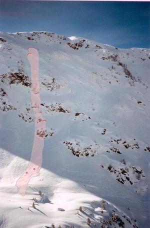 Barranc d'Escòrnacrabes. En color rosat es pot veure el límit de l'allau (Foto: J. Gavaldà).
