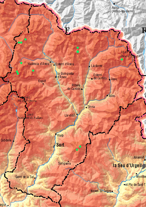 Accidents Pallars Sobirà (12)