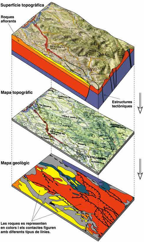 El mapa geològic és la representació dels diferents tipus de roques i contactes que afloren a la superfície terrestre sobre un mapa topogràfic