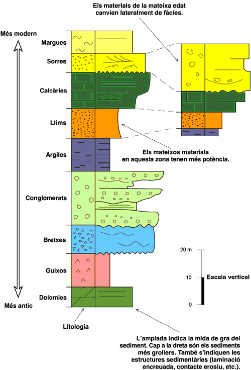 Una columna és una representació gràfica dels diversos materials que podem trobar tal com s'ha sedimentat, els més antics a la part inferior i els més moderns a la part superior. Per construir una columna estratigràfica, cal mesurar en el camp el gruix de totes les capes i cal evitar les estructures tectòniques. En un mapa es poden posar diverses columnes per tal de comparar i visualitzar com els sediments d'una mateixa edat (color) canvien lateralment de potència (gruix) o de fàcies (tipus de sediment).