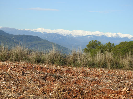 Paisatge del Pirineu amb integració dels sòls agrícoles, forestals i prats d'alta muntanya
